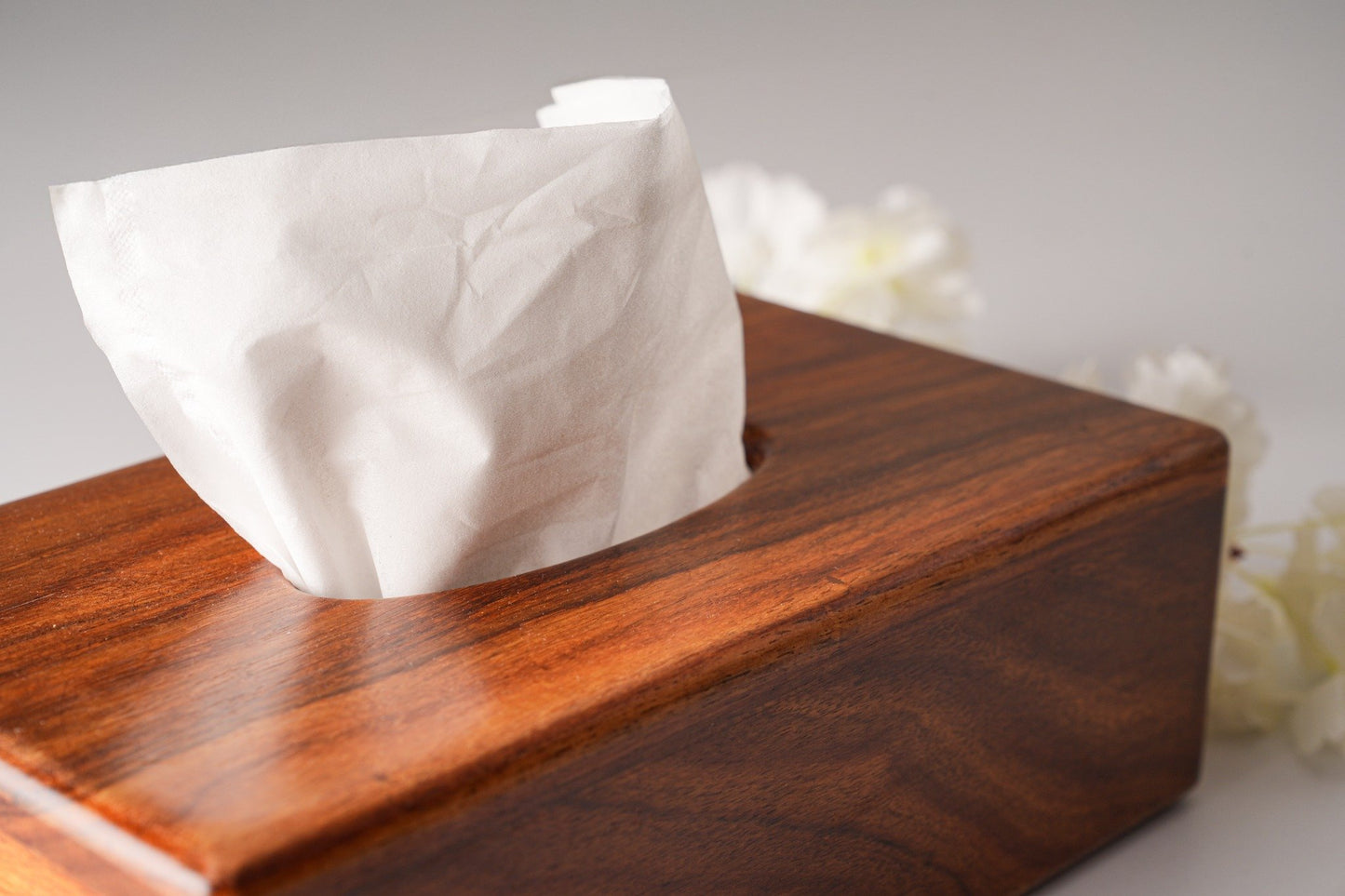 Tissue Keeper